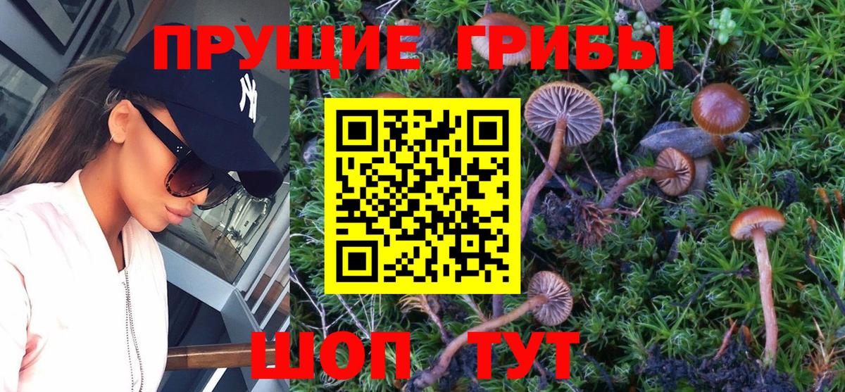 Псилоцибиновые грибы мицелий  Псилоцибиновые грибы мухоморы  Вход с VPN  Назарово 